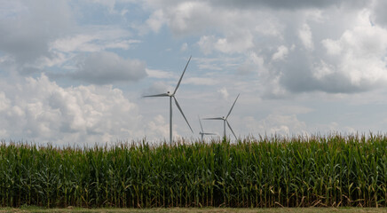 Modern rural Indiana, agriculture and green energy combined