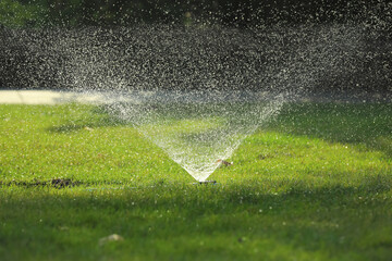 Automatic sprinkler watering green grass in park. Irrigation system