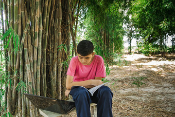 A boy sits in a wooden chair studying online with a laptop computer in a bamboo tree in the...