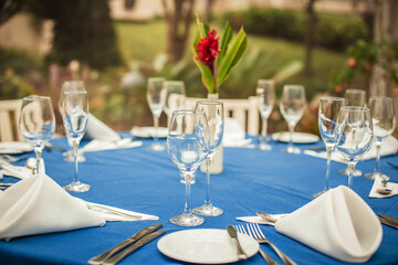 Restaurant table decoration with red flower in a bottle - Dining table with crystal glasses, plates, napkins and cutlery before social event or wedding