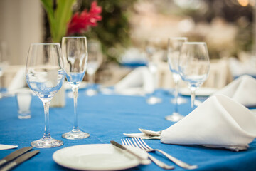 Close-up of crystal glasses, plates, napkins and cutlery on a restaurant table with blurred garden in the back at a social event