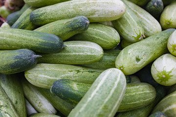 Cucumber