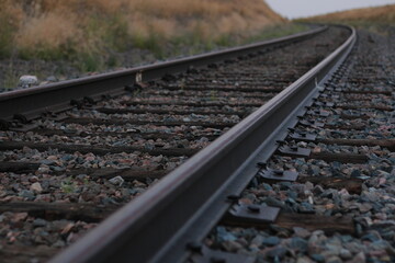 Naklejka premium vias del tren