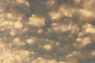 Scenic of Light and shadow in the morning 