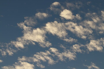 Scenic of Light and shadow in the morning 