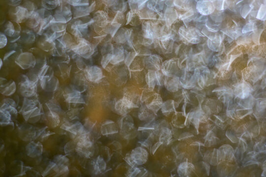 natural bokeh background after rain