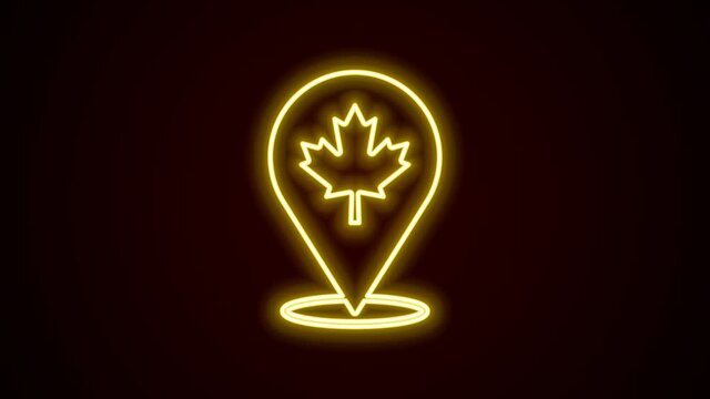 Glowing neon line Canadian maple leaf icon isolated on black background. Canada symbol maple leaf. 4K Video motion graphic animation