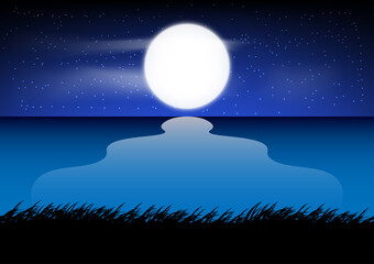 graphics design landscape view at the ocean with the moon and grass on the ground at night time vector illustration