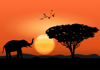 Naklejka na ściany i meble silhouette image Black elephant with walking at the forest with mountain and sunset background Evening light vector Illustration