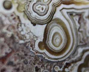 brown and white oblong designs on mexican laced agate