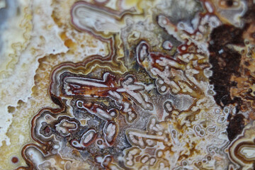 mexican laced agate colors and shapes zoomed in 