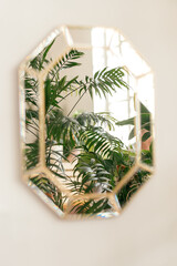 The reflection of indoor plants in a decorative mirror hanging on a white wall.Home interior design.
Biophillia design.Urban jungle.Selective focus.