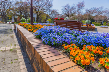 公園の花壇