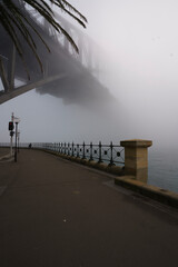 Fog and mist obscures the Sydney Harbour Bridge