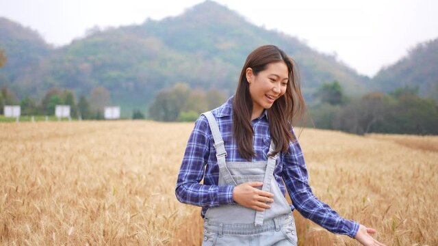 Asian woman farmer using hand stroking wheat rice plant leaves while walking in wheat field farmland. Female farm worker working in rice farm. Agriculture industry and harvest crop plant concept.