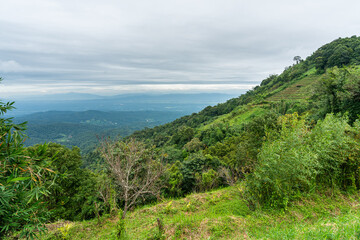 Fototapeta na wymiar Beautiful rain forest mountain, Doi Suthep, Chiang Mai, Thailand