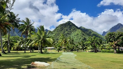 Visage de Teahupoo sur Tahiti - obrazy, fototapety, plakaty
