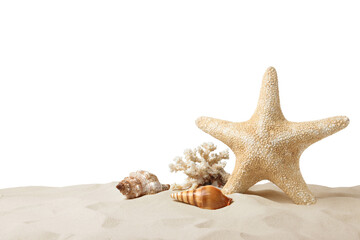 Fototapeta na wymiar Beautiful sea star, coral and seashells in sand on white background