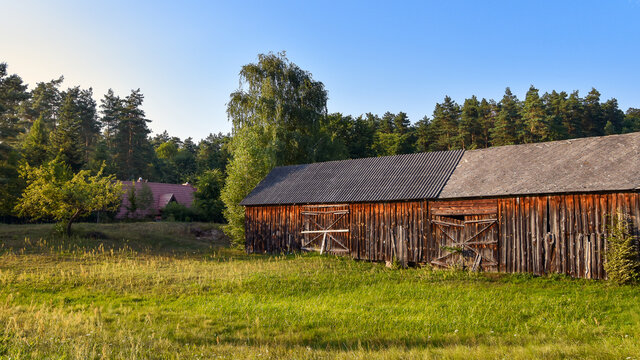 Old, wooden barn situated on the meadow in the evening Sun. Forest ald litlle cottage in the background. Beautiful rural scenery. Roztocze, Poland.