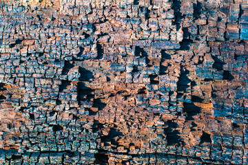 Colorful grungy texture of wood, macro. Abstract wallpaper.