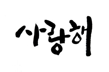 Korean text translation i love you