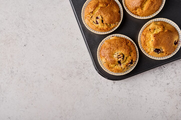 Homemade cupcakes in baking form on gray wooden background, top view, copy space