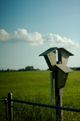 Bird house in a field