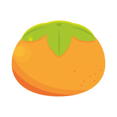 orange citrus fruit