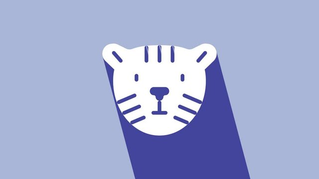 White Tiger head icon isolated on purple background. 4K Video motion graphic animation