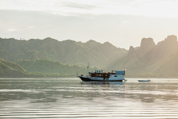 Boats floating in the sea on the background of green hills