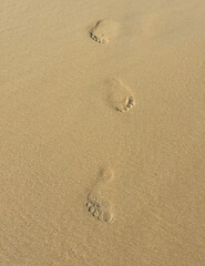 Footprints left in the sand on the beach, by a person