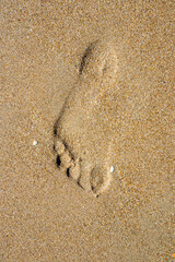 Footprints left in the sand on the beach, by a person