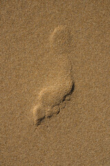 Fototapeta na wymiar Footprints left in the sand on the beach, by a person