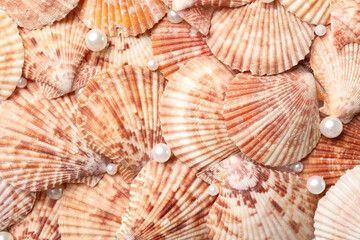 Beautiful pearls and seashells as background, closeup