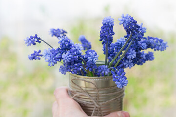Bouquet of hyacinths in hand