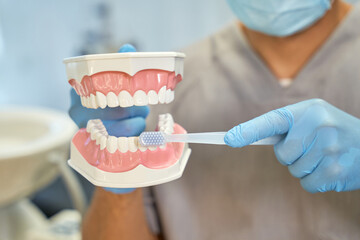 Fototapeta na wymiar Dental doctor explaining rules of teeth-brushing on teeth model