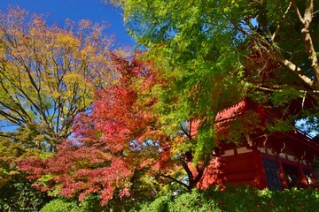 紅葉の長谷山　本土寺