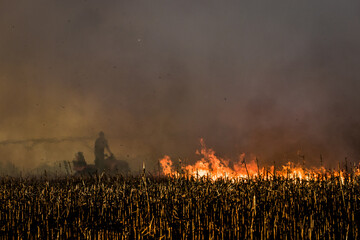 Anonymous farmer silhouette fighting fire in agricultural farming field with all of smoke and heat haze, hot fire in agriculture farm field
