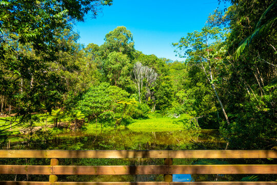 バイロン 画像 参照 104 Stock 写真、ベクターおよびビデオ Adobe Stock