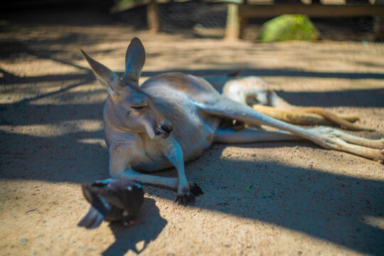 バイロン 画像 参照 104 Stock 写真、ベクターおよびビデオ Adobe Stock