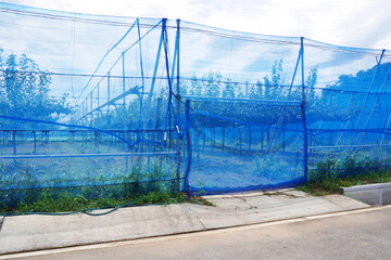 果樹園のネット