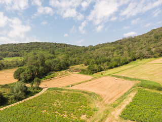 Vue aérienne d'un paysage agricole. Un paysage de campagne avec des agricultures différentes.