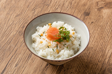 ごはんのおかず　Side dishes of rice japanese food