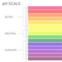 pH Value scale chart. Acid-base balance infographic. Education Poster