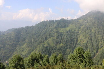 Mountain path to hill In summer landscape