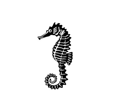 abstract silhouette seahorse vector