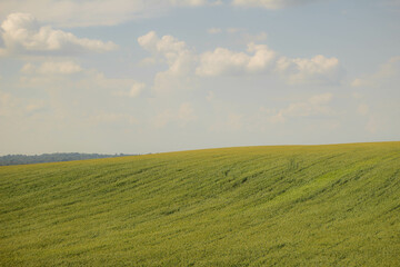 field and blue sky