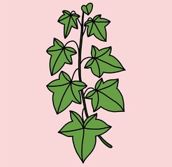 Simplicity ivy freehand drawing flat design.