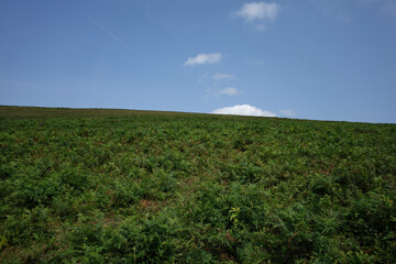 Mountains in the Basque Country