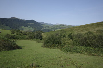 Fototapeta premium Green hills in Basque Country